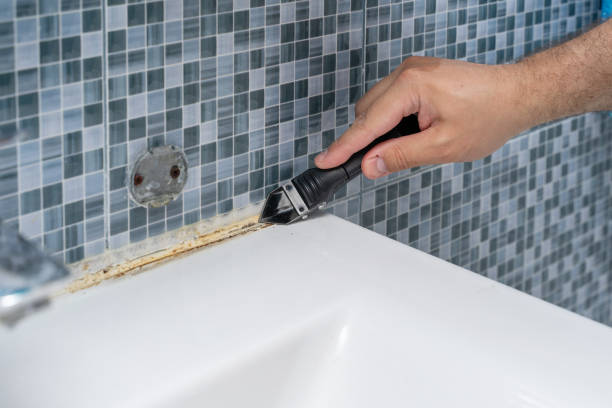 Best Commercial Mold Remediation in Maryland Heights, MO